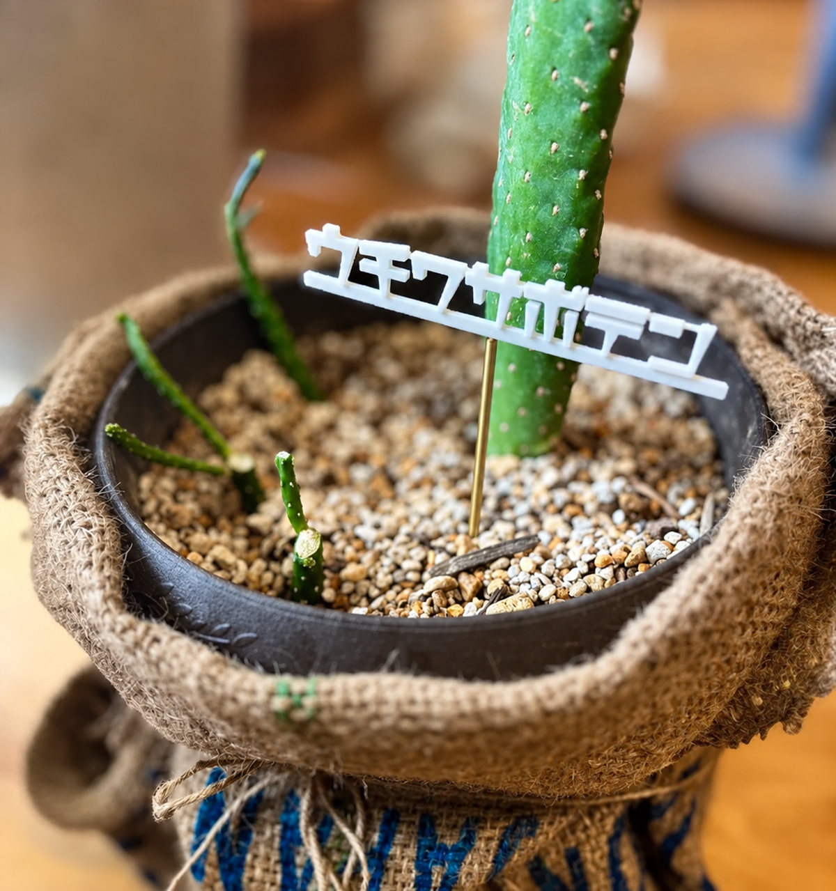 PLANT SIGN 植物用ネームプレート(文字カスタマイズ可)